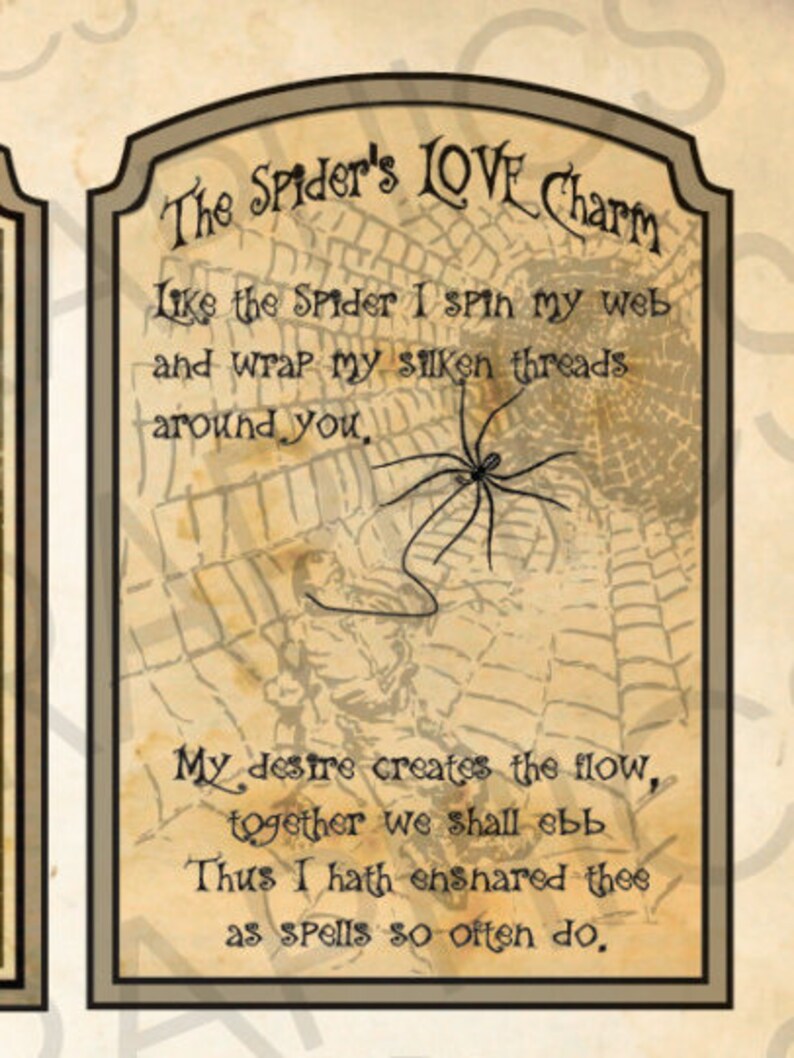 May include: A vintage-style charm with a spider web design and the text "The Spider's LOVE Charm". The text reads "Like the Spider I spin my web and wrap my silken threads around you, My desire creates the flow, together we shall ebb Thus I hath ensnared thee as spells so often do."