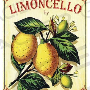 DIY Limoncello Label Customizable Limoncello Bottle Label Limoncello Tags EDITABLE Digital Download Canning Labels Download Rustic Gift Tag