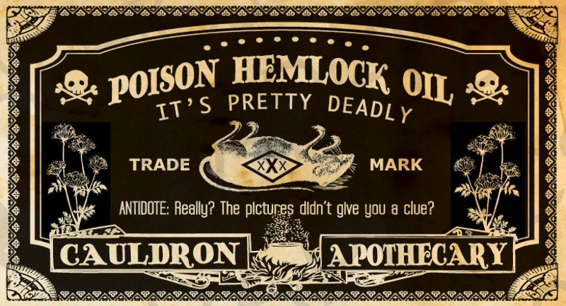 Poison Bottle Labels Halloween Potion Labels Poison Labels | Etsy