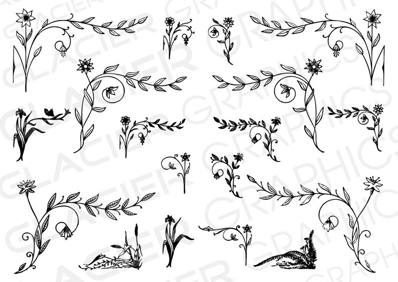 18 Vintage Hand drawn Floral Ornament Illustrations Clipart Copyright Free Vintage Floral Ornaments