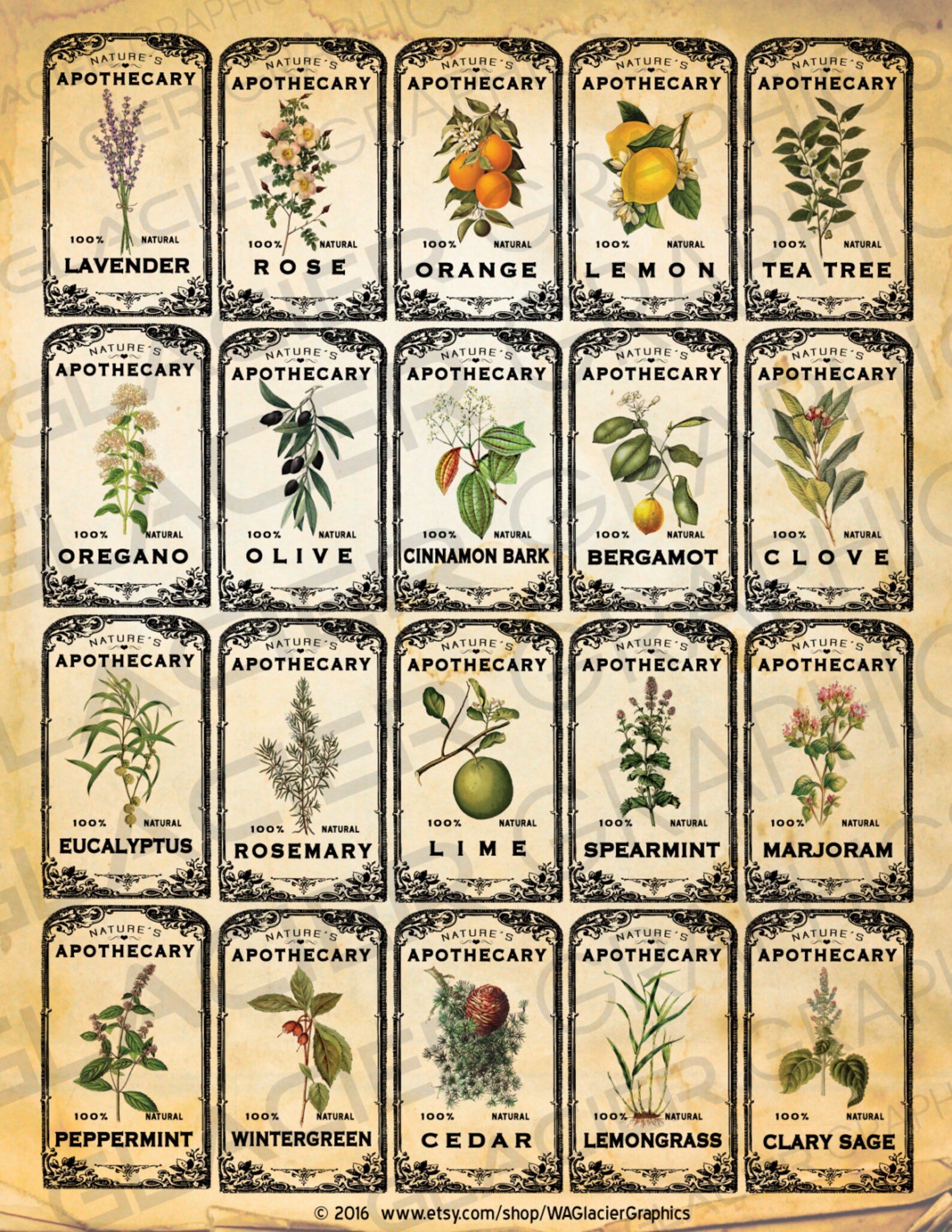 Vintage Herbal Essential Oil Labels Vintage Herbal Oil | Etsy