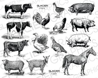 Vintage Farm Animal Illustrations SVGZ Files Farm Animals Cricut Country Farm Animals SVG Copyright Free