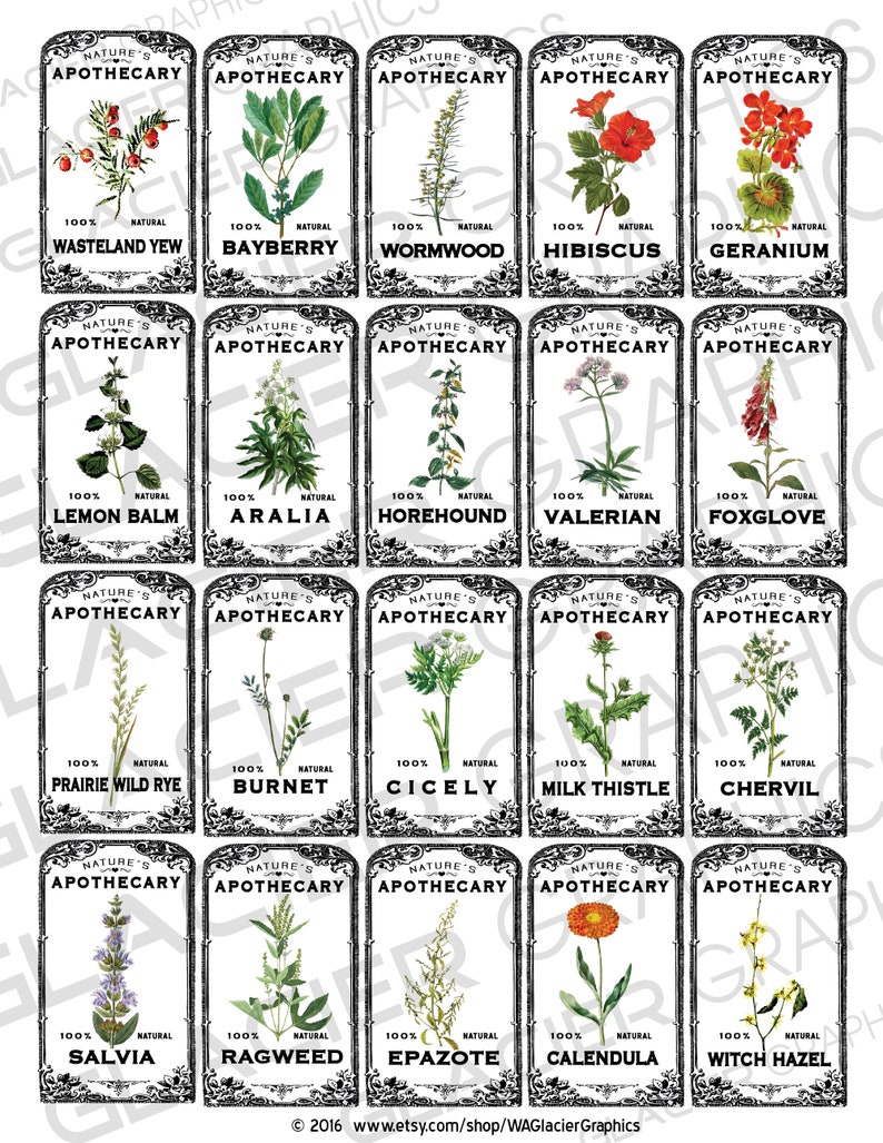 Vintage Herb Apothecary Labels Vintage Herbal Tags Digital Download ...