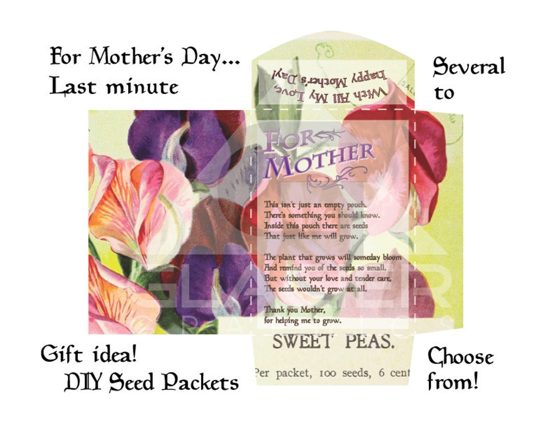 Printable Flower Seed Packet Mother's Day Gift Envelope Mothers Day ...
