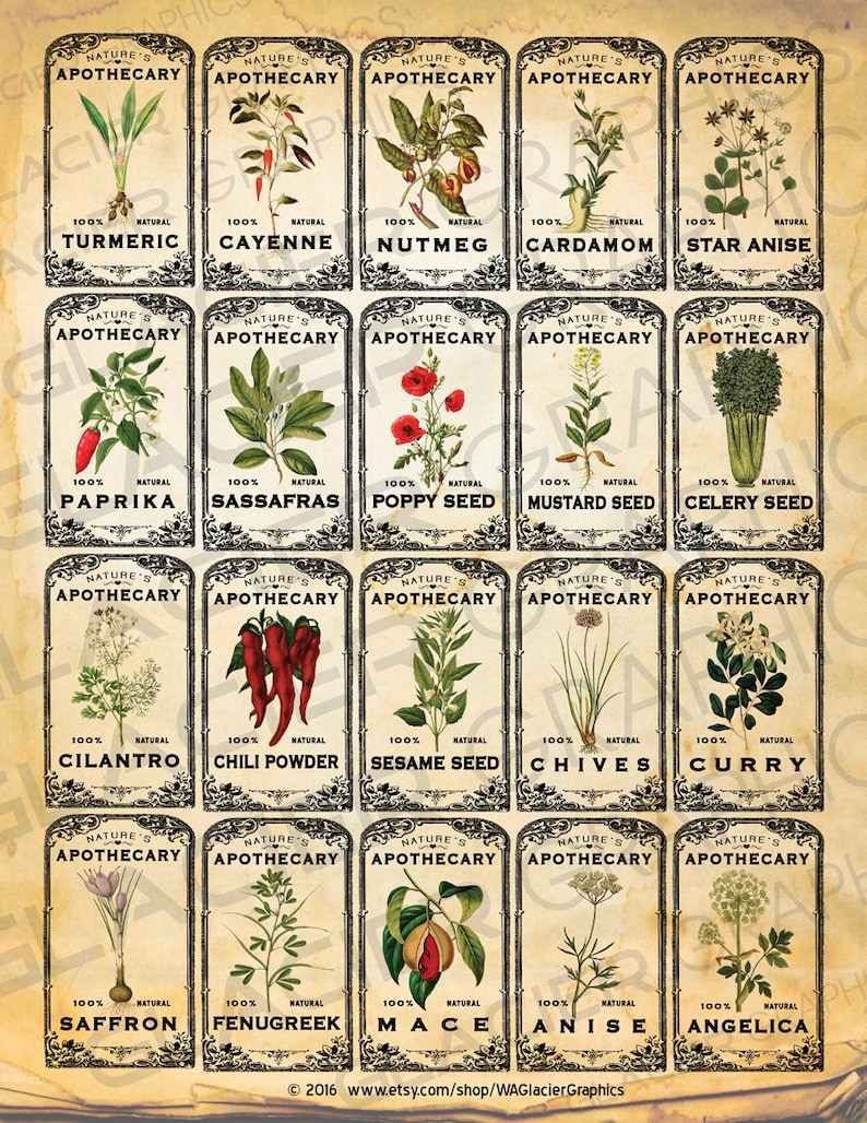 Vintage Herb Apothecary Labels Vintage Herbal Tags Digital | Etsy