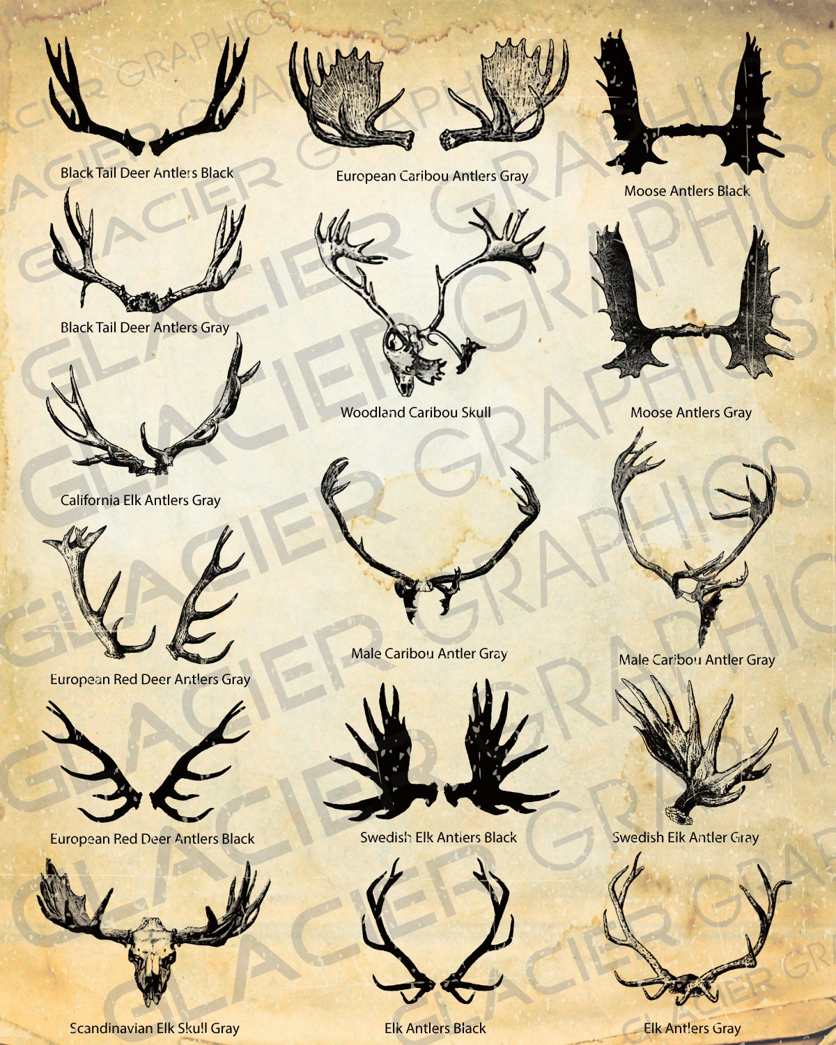 elk vs caribou elk vs caribou