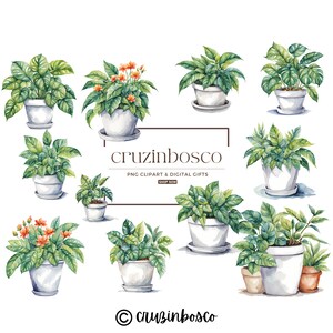 Potted Plants Clipart, Floral, Flowers, Greenery, Botanical, Indoor, Leaf, Garden, Nature, Watercolor, High Quality PNG, Commercial Use