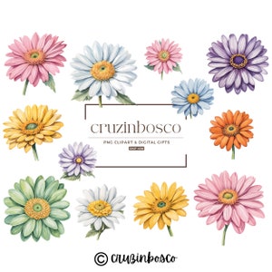 Colección Daisies Clipart, Paquete floral de flores, PNG de alta calidad, Descarga digital, Gráficos de boda, Invitación, Uso comercial