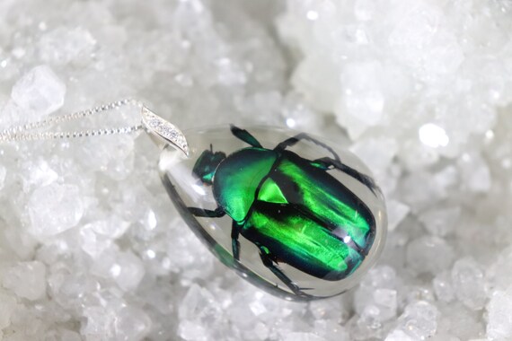 real scarab beetle jewelry