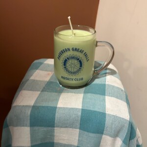 Fresh Cut Grass Scented Mug Soy Candle