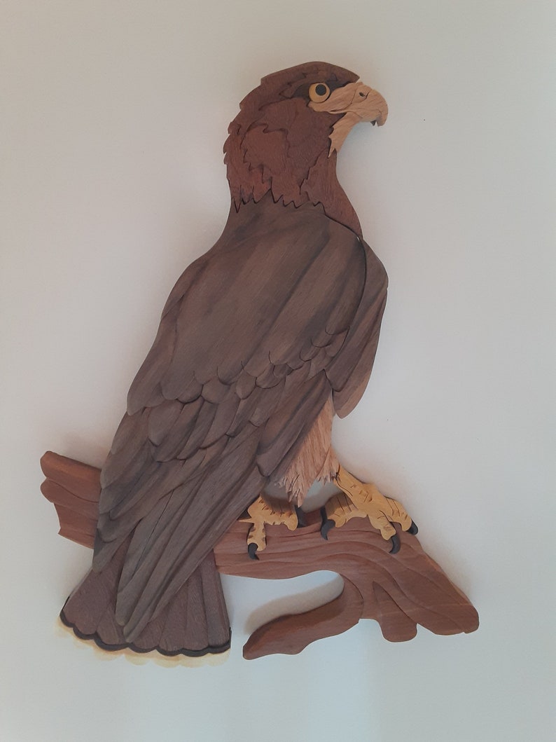 Redtailed Hawk Wood Intarsia Scroll Saw Art Wall Hanging Etsy