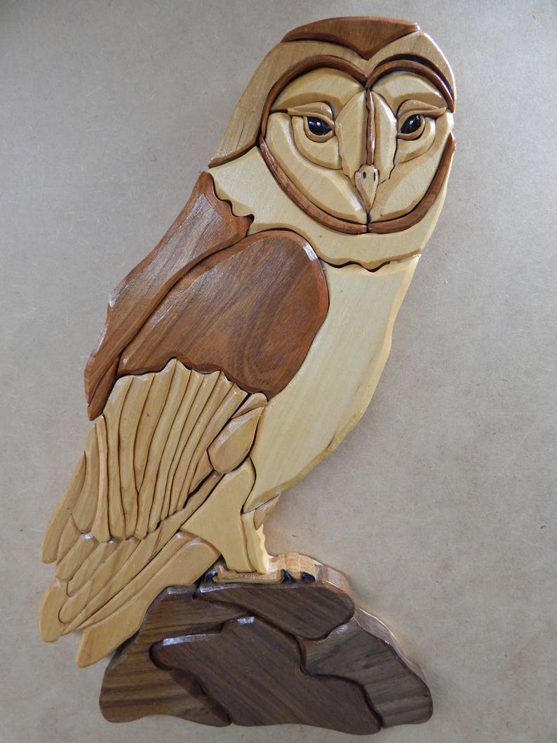 Barn Owl Wood Intarsia Wall Hanging Handcrafted Scroll Saw Etsy
