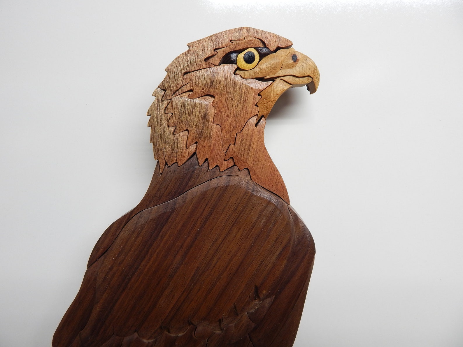 Redtailed Hawk Wood Intarsia Scroll Saw Art Wall Hanging Etsy