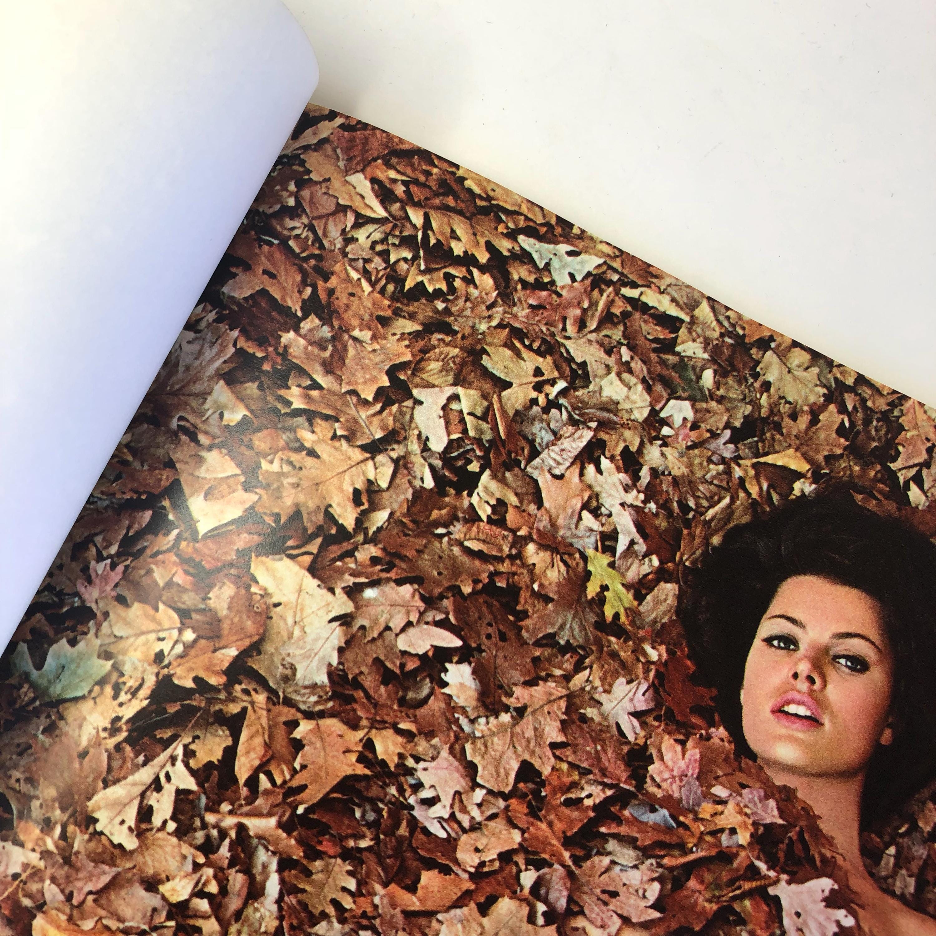 ◇MIRROR OF VENUS BY WINGATE PAINE◇ウィンゲート・ペインの