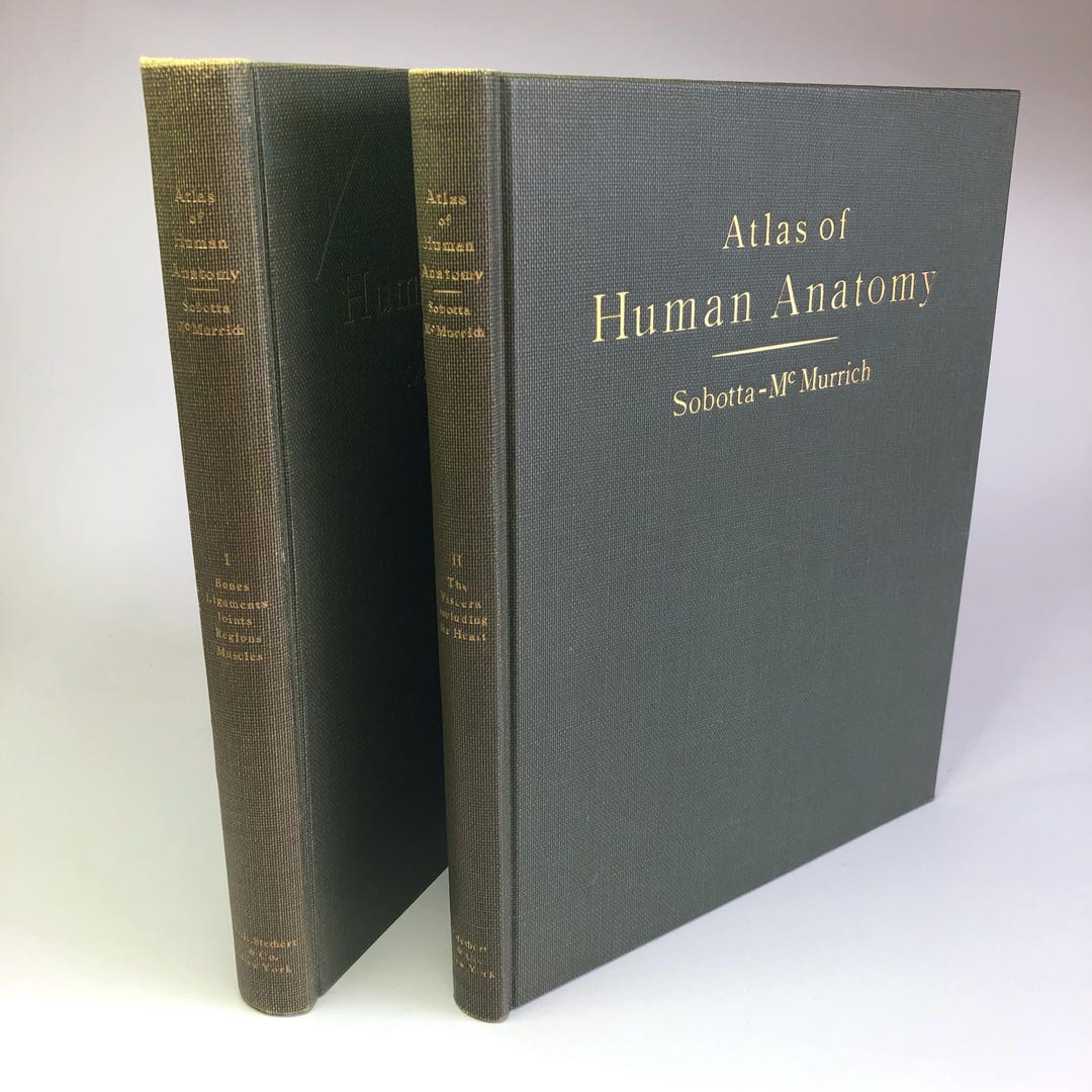 健康・医学 Sobotta Malbuch Anatomie Sobotta Malbuch Anatomie : Kretz, Oliver, Keller, Holger