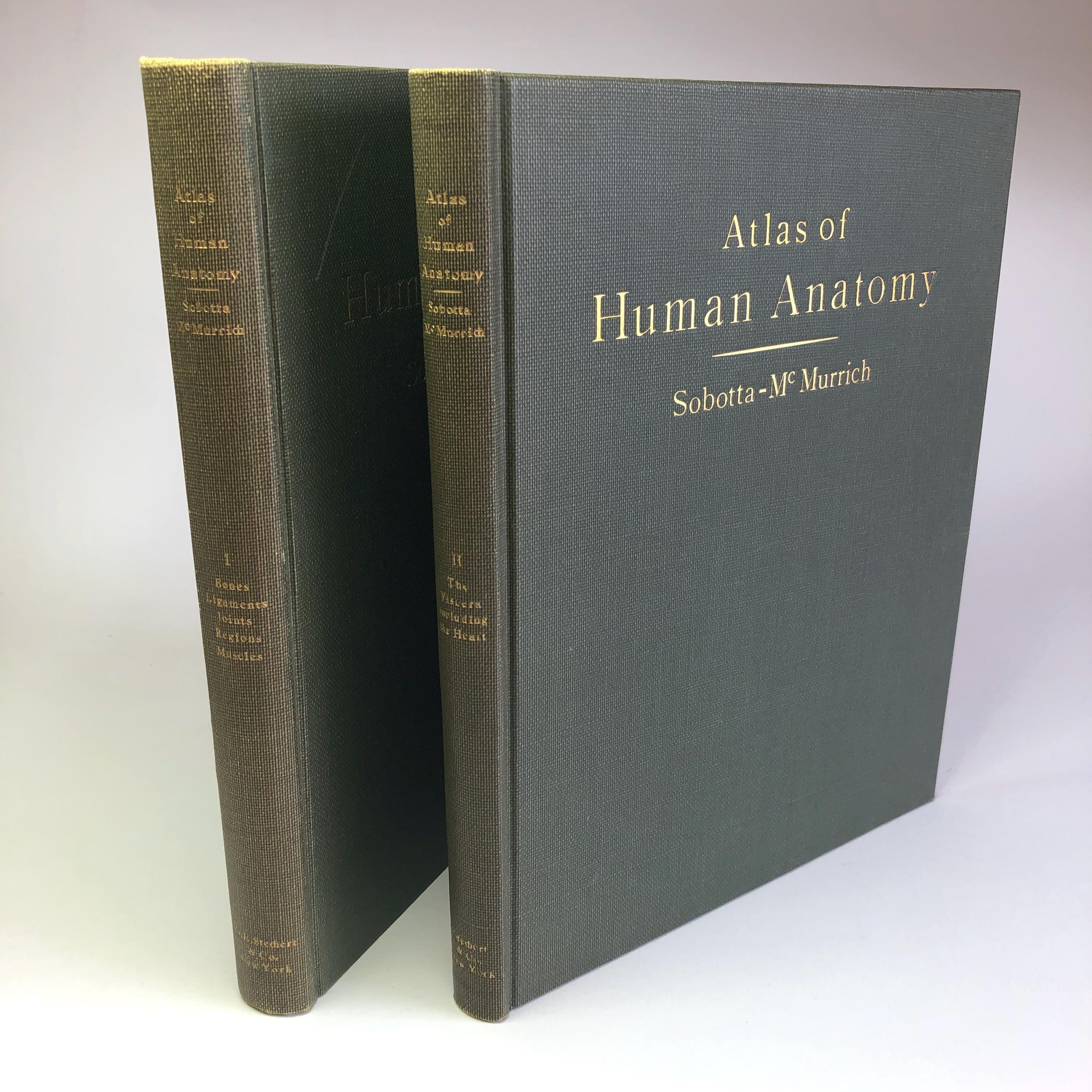 健康・医学 Sobotta Malbuch Anatomie Amazon.com: Sobotta Malbuch Anatomie: 9783437414374: Kretz