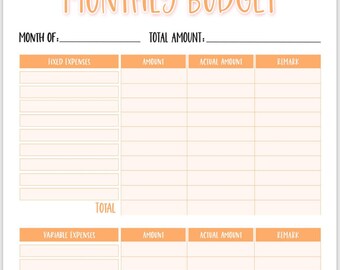 Monthly budget, Daily spending log and Bill tracker  Printable Template Digital Download