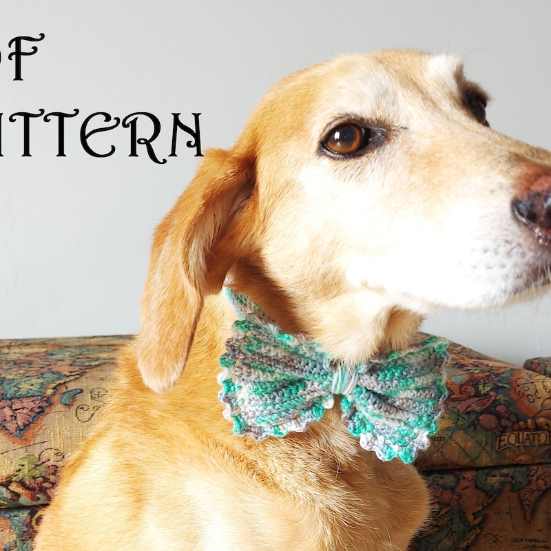 knitted dog bow tie pattern