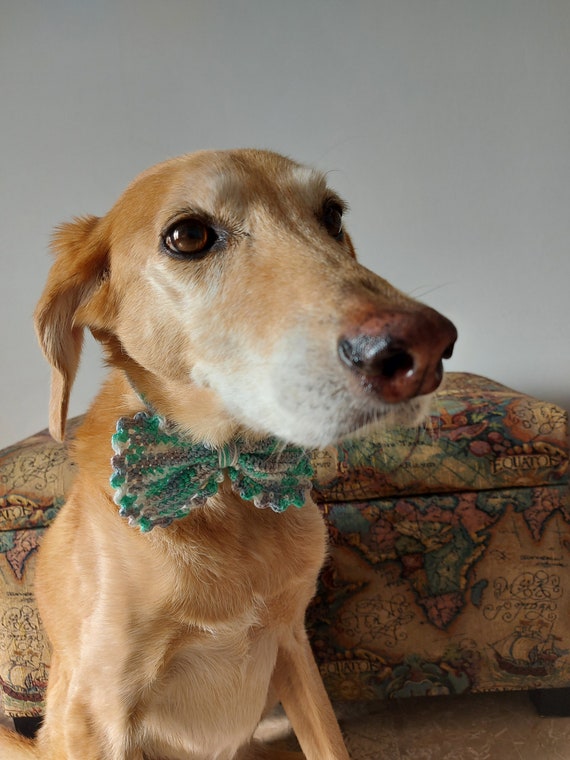 crochet dog tie