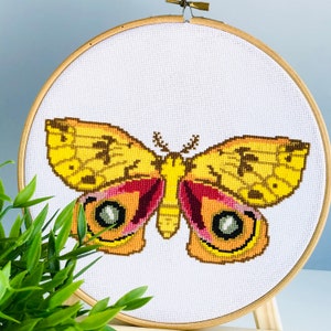 Yellow Moth Cross Stitch Pattern PDF, Butterfly Modern Cross Stitch Pattern, Insect Cross Stitch Pattern, Instant Download