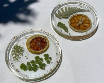 Pressed Flower Resin Coasters | Real Dried Fruit Home Decor Set (Set of 2)