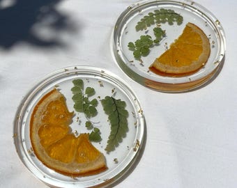 Pressed Flower Resin Coasters | Real Dried Fruit Home Decor Set (Set of 2)
