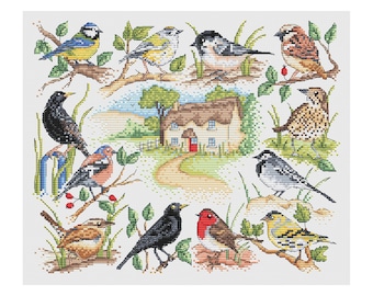 British Garden Birds - Durene J Cross Stitch Pattern - DJXS2374
