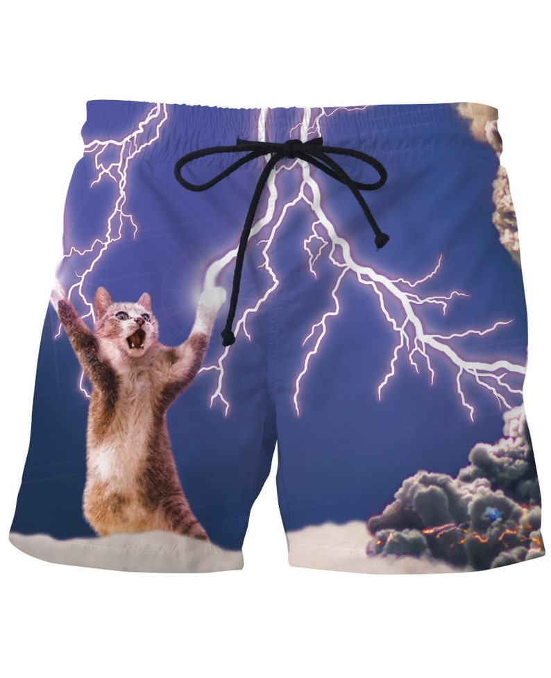 Funny Thundercat Swim Shorts Mens Swimwear Bathing Suit Mesh Lining