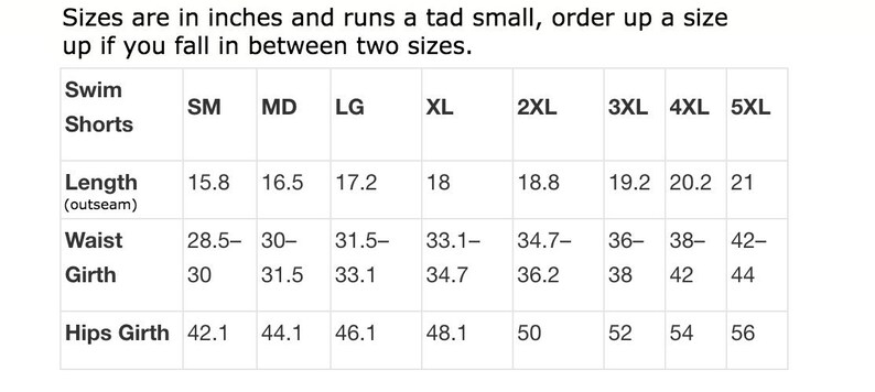 Funny Thundercat Swim Shorts Mens Swimwear Bathing Suit Mesh Lining