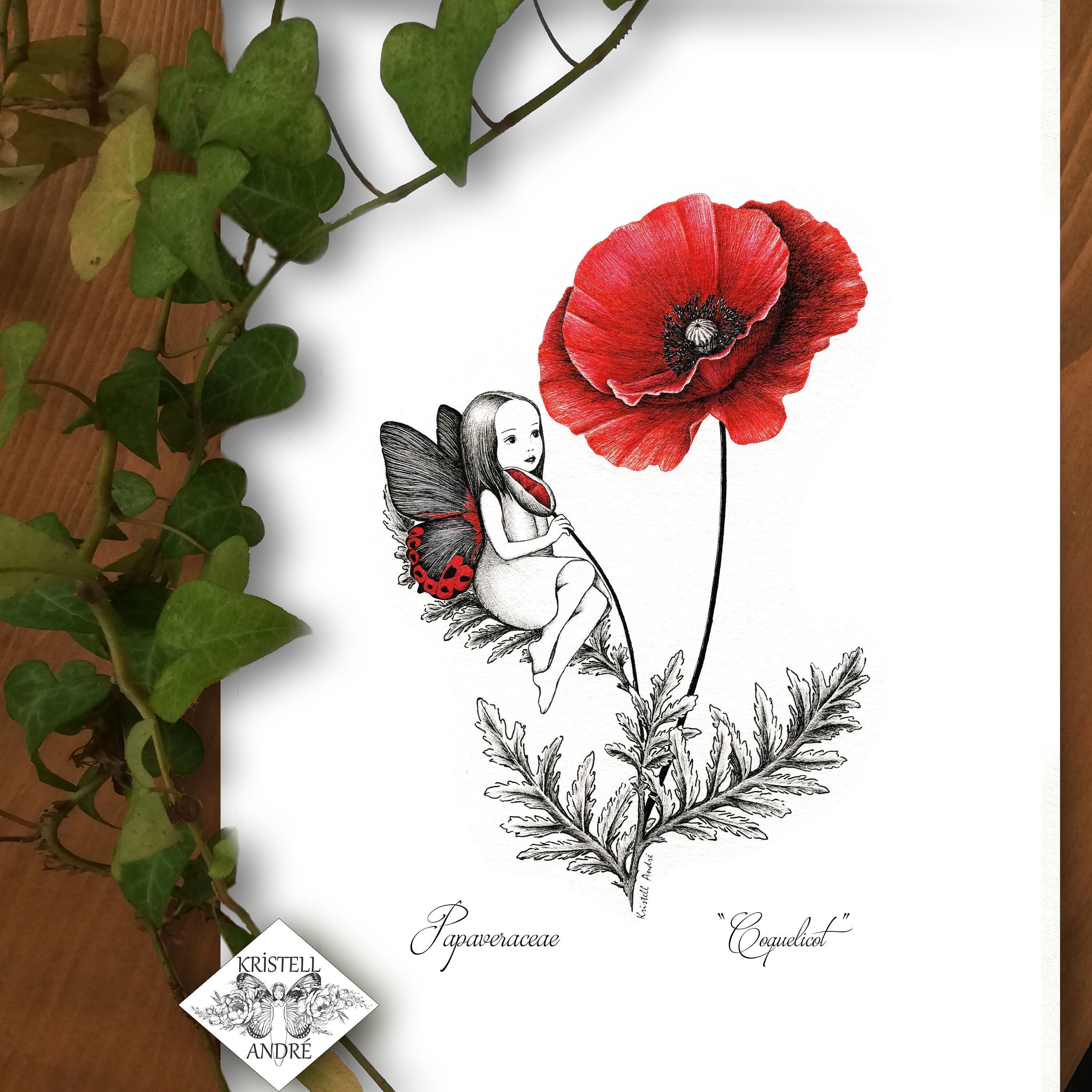 Affiche, Coquelicot, Des Fées et Des Fleurs, Kristell André.