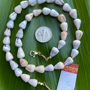 May include: A necklace made of small, white and tan seashells. The shells are strung together with gold-colored clasps. A dime is placed near the necklace for size comparison. The necklace is displayed on a green leaf.