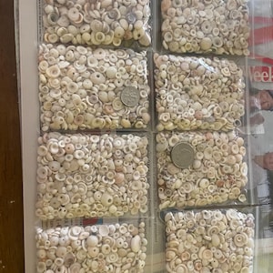 Hawaiian Puka Shells
