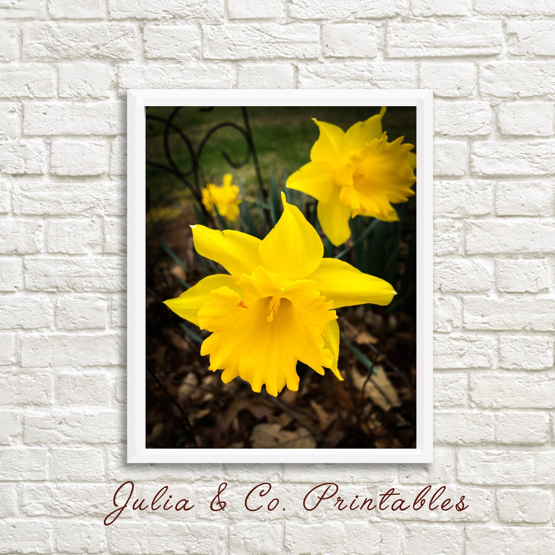 Daffodil Photo Daffodil Art Print Yellow Flowers Flower Etsy Hong Kong