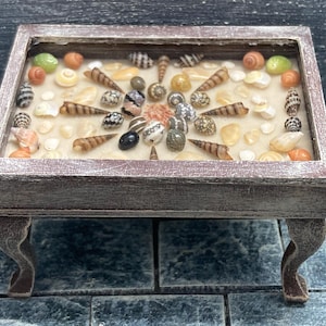 May include: A miniature rectangular table with a distressed brown finish. The tabletop is filled with a variety of seashells, including spiral, cone, and round shapes, in shades of white, brown, orange, and green. The table has curved legs.