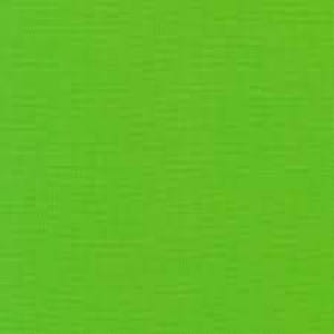 May include: A bright green solid color background.