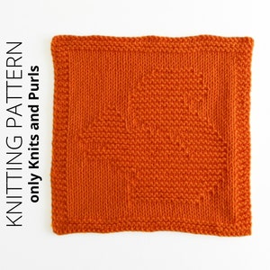 SQUIRREL Dishcloth Beginner KNITTING PATTERN - Easy blanket block pattern - squirrel cloth pattern, Knit and Purl/Instant download, ohlalana