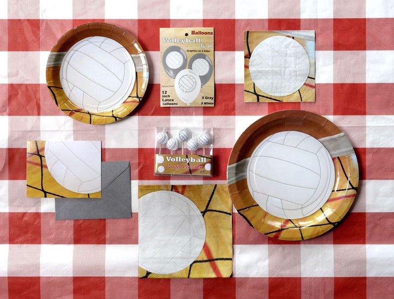 Volleyball Dinner Plates/volleyball Themed Party Plates/womens Etsy