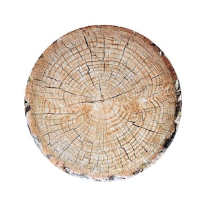 Grandi piatti per alberi / Piatti per feste rustiche / Piatti per feste di caccia / Piatti per feste nel bosco