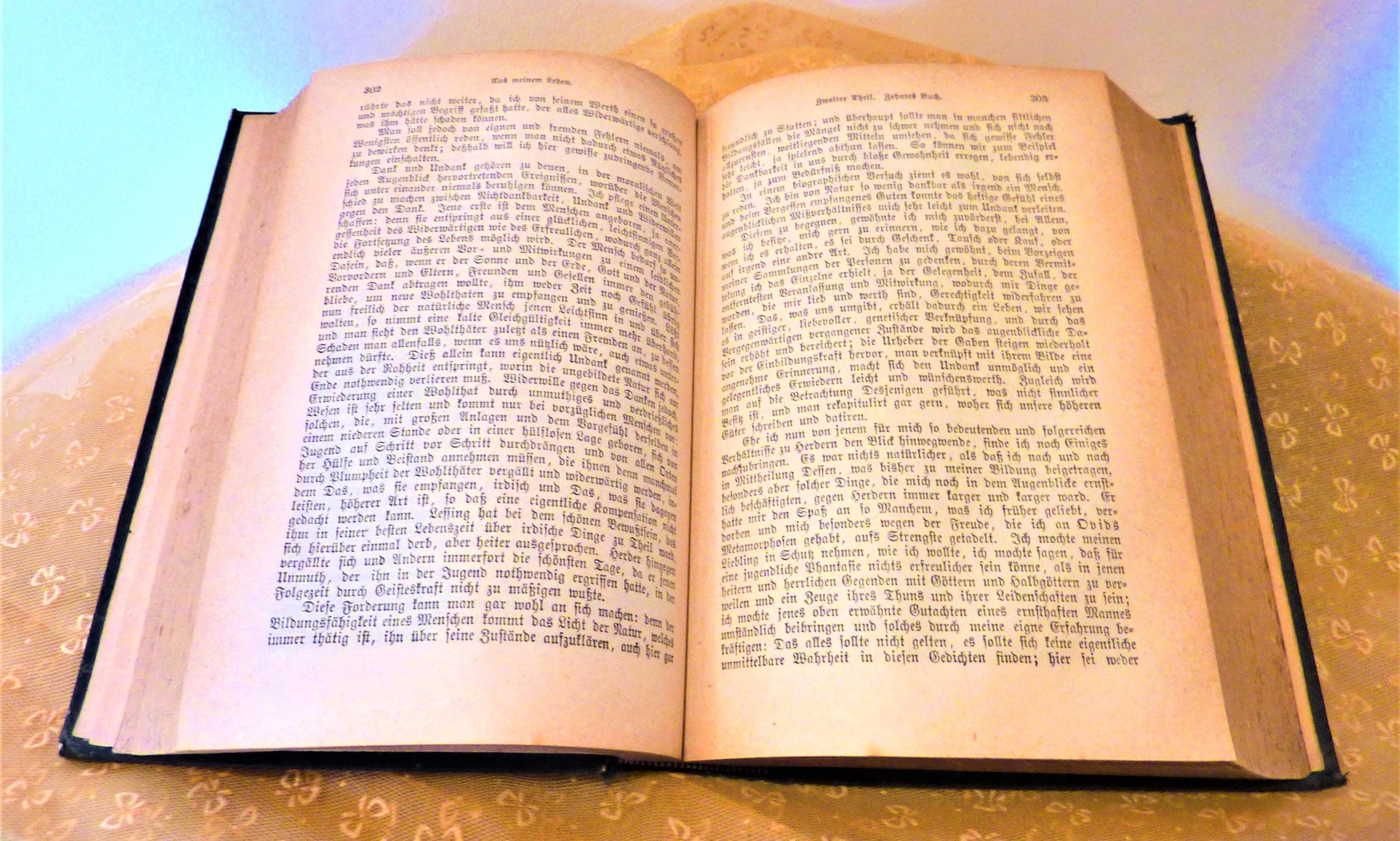 Goethe's Werke Vol. 4: 1887 German Edition Antique Hardcover