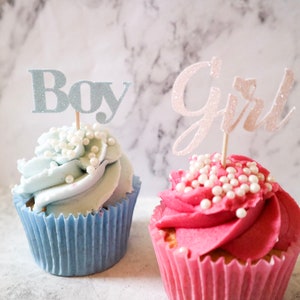Boy or Girl Glitter Cake Topper - Blue and Pink, Baby Shower, Gender Reveal, Centrepiece , Its a Boy, Its a Girl