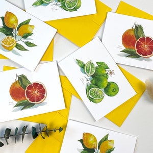 Zitrusfrüchte Grußkarten - 6er Set, Original handgemalte Karten, Aquarell Grußkarten, leere Grußkarten