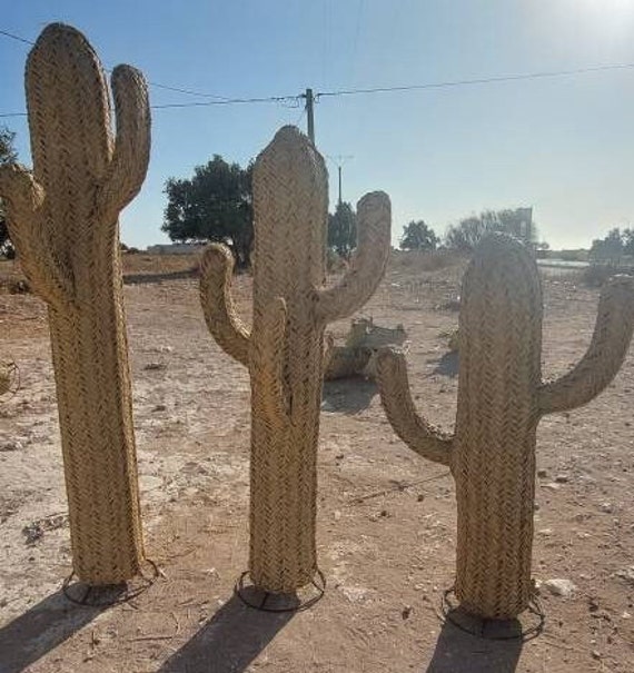Moroccan Decorative Straw Cactus, Handmade straw cactus rattan, Cactus  doum