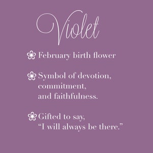 May include: A purple background with white text that says "Violet" and includes information about the violet flower being the February birth flower, a symbol of devotion, commitment, and faithfulness, and gifted to say "I will always be there."
