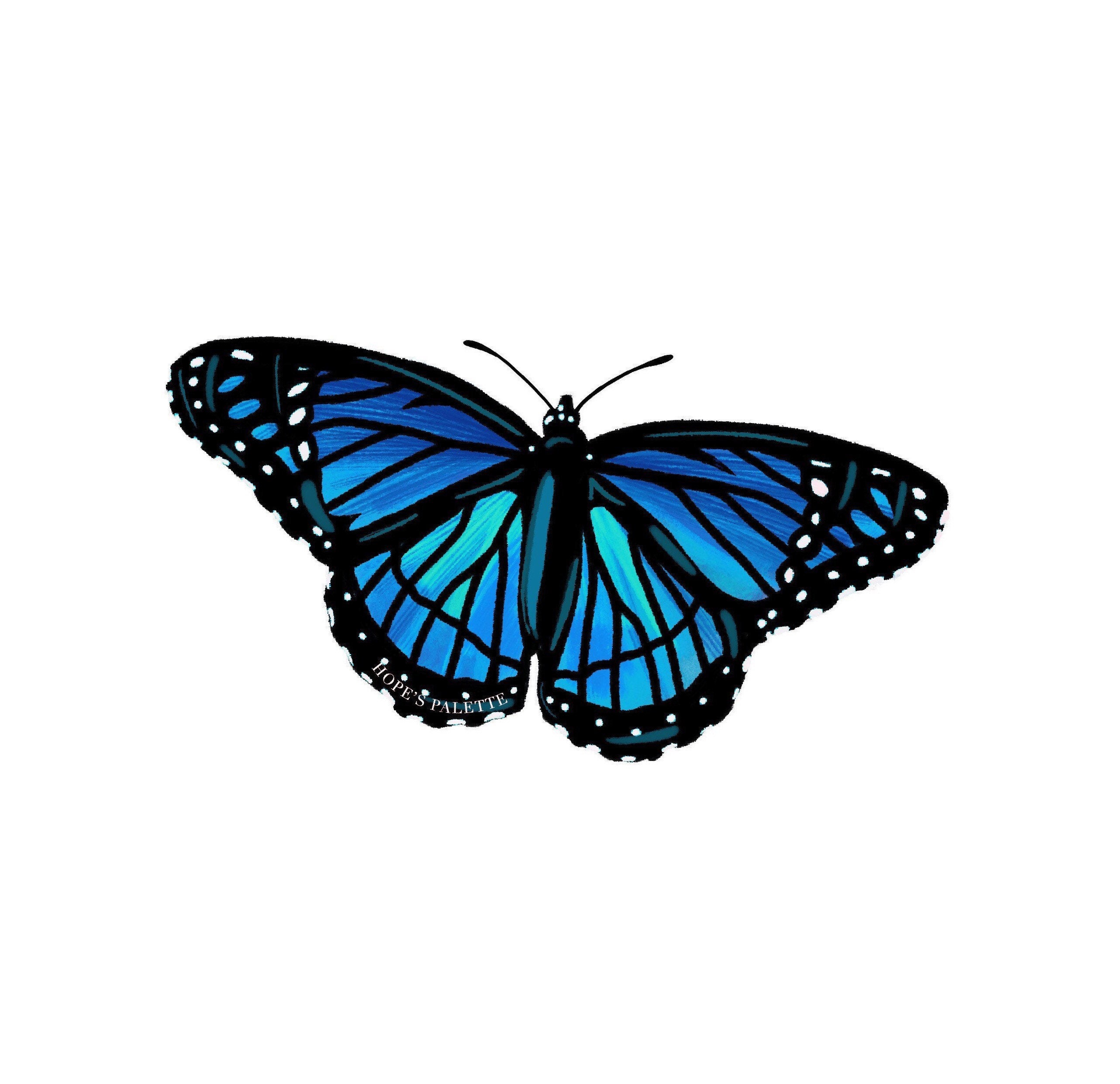 Monarch Butterfly Vinyl Sticker Rainbow Monarch Butterflies | Etsy