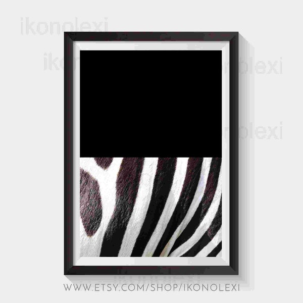 Zebra Skin Etsy