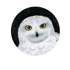 Snowy Owl giclee print, owl, owl art, watercolor print, fine art print, 5x7.