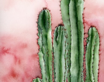 Pink Cactus Gliclee Print