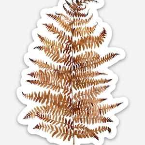 Cinnamon fern waterproof vinyl sticker, 2.11 x 3 inches.