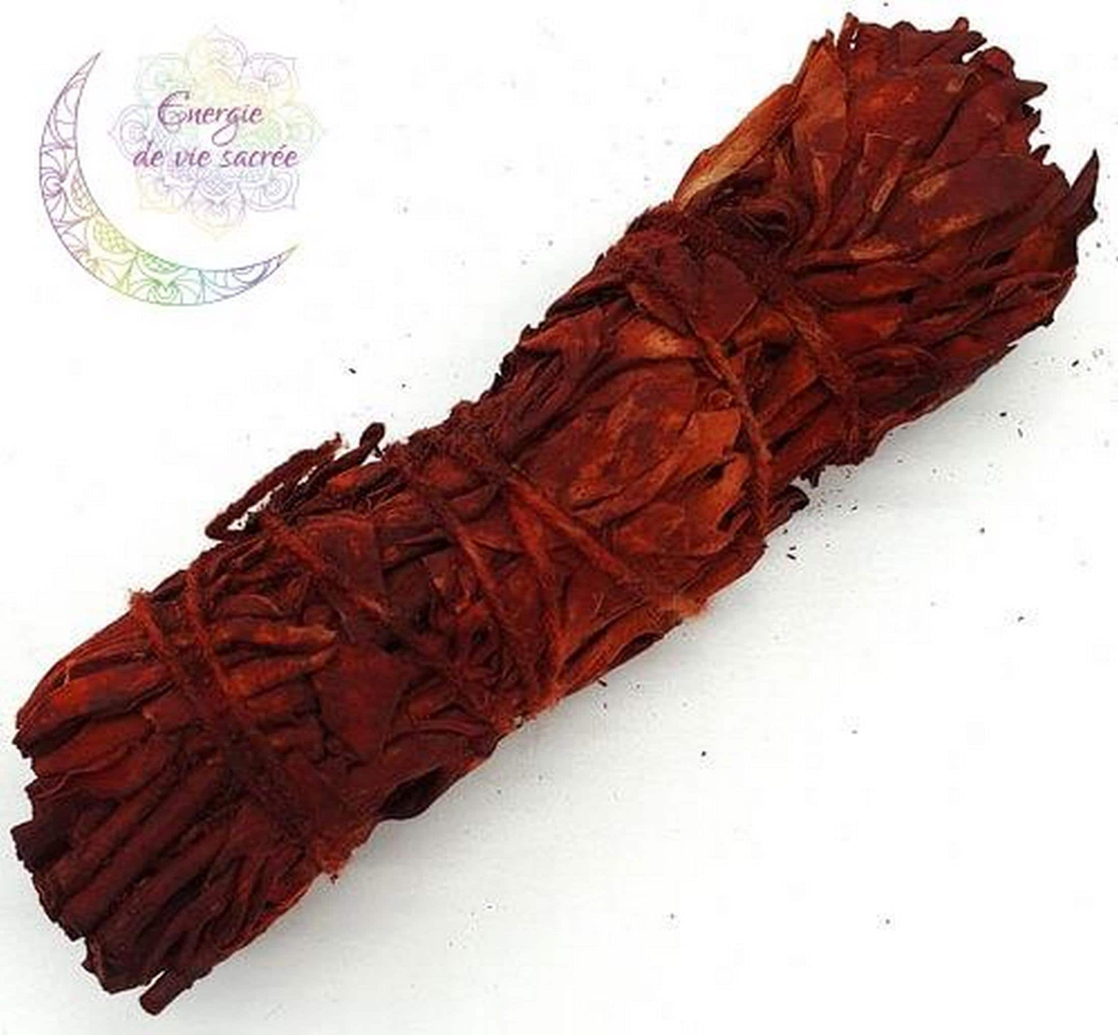 Sauge Sang de Dragon, Bâton Fumigation, Purification Des Lieux