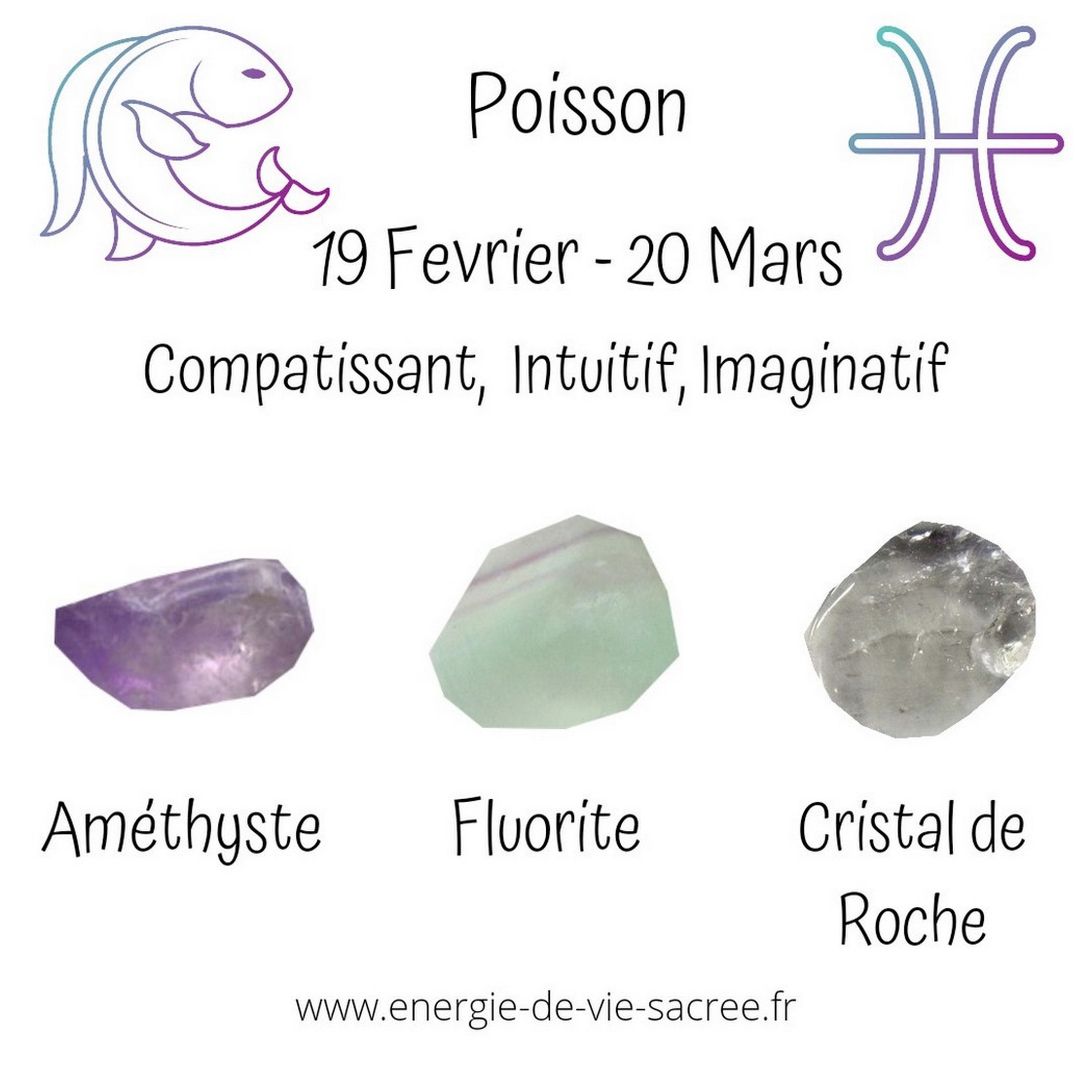 Pierres Pour Les Poissons Ensemble de Pierre, Améthyste, Fluorite, Cristal Roche, Pierres Roulées